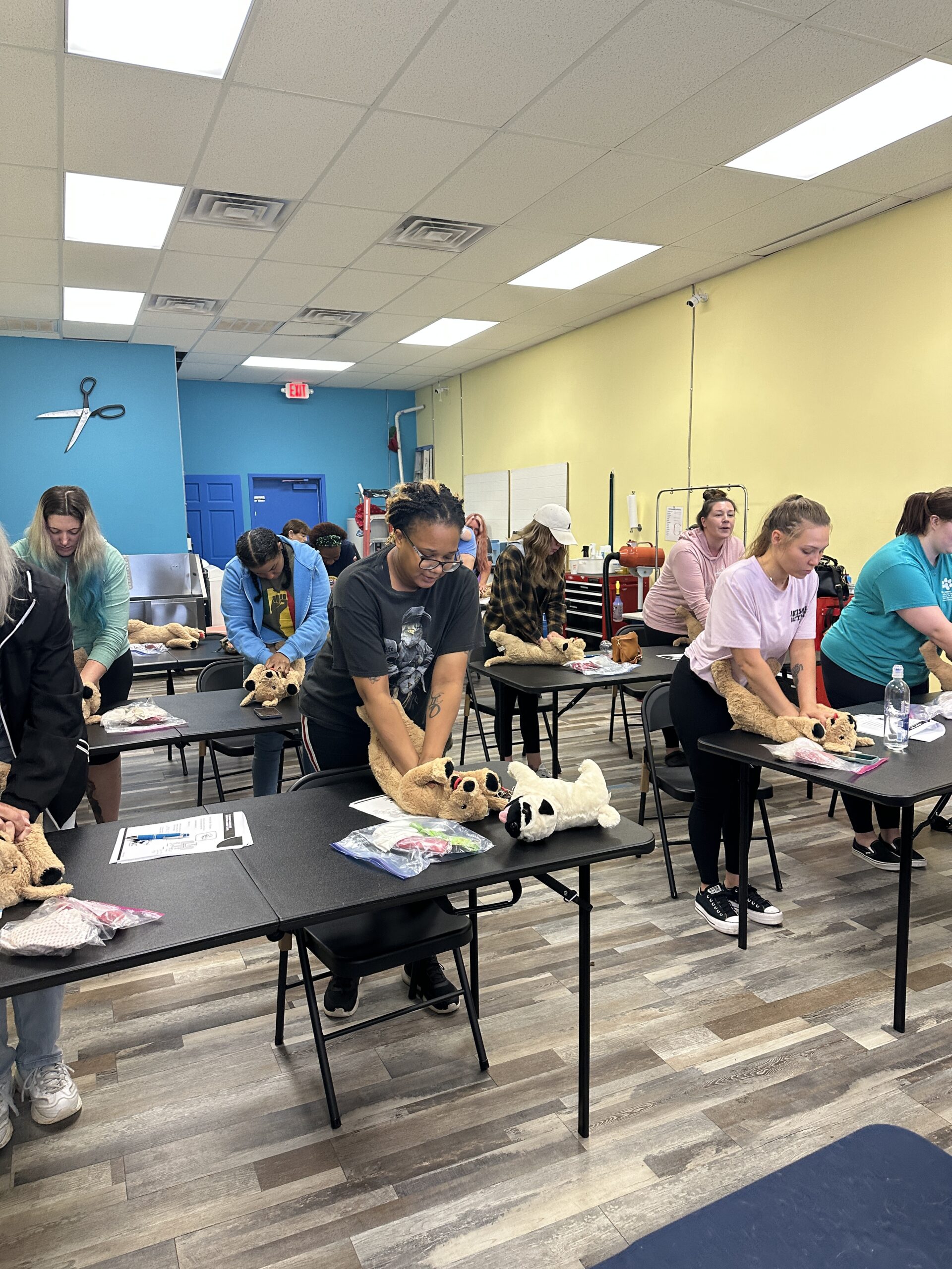 Chewookie Mobile Grooming, and Chewookie’s Pet Salon